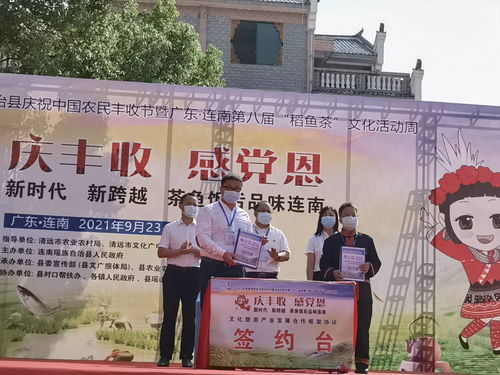 連南第八屆稻魚茶文化活動周盛大開幕，推動文化藝術交流新篇章
